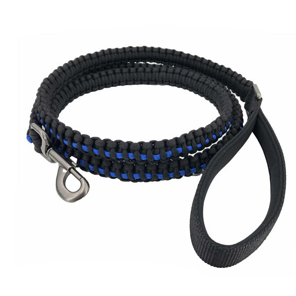 Collars & Leashes + More